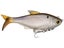 6th Sense Option Swimbait
