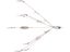 Picasso Bait Ball Extreme Umbrella Rigs