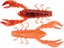 HD Brown Craw