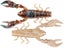 HD Rusty Craw