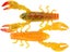HD Spring Craw