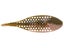 Berkley PowerBait Maxscent Flux Gill Creature Bait