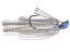 Blue Glimmer Shad