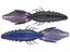 Darkwater Bug