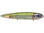Bluegill