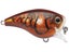 Rapala Balsa Xtreme BX Brat 3 Squarebill Crankbaits