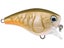 Rapala Balsa Xtreme BX Brat 3 Squarebill Crankbaits