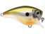 Rapala Balsa Xtreme BX Brat 3 Squarebill Crankbaits