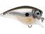 Rapala Balsa Xtreme BX Brat 3 Squarebill Crankbaits
