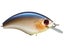 OSP Rattlin' Blitz Squarebill Crankbait