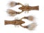 Rabid Baits Rabid Craw 4pk