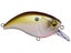 RAID Japan Level Crankbait