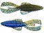 Okeechobee Craw