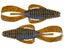 Blue Craw
