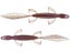 6th Sense Ridge Lizard