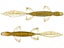 6th Sense Ridge Lizard
