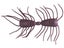 RAID Japan 2Way Scuppernong Floating 2"