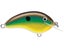 Bream