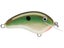 Copper Green Shad