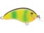 Coosa Special