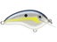 Helsinki Shad