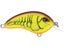 Mossy Chartreuse Crawdad