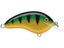 Perch