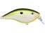 Rapala Ott's Garage OG Big Rocco Crankbaits