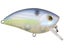 RPE Tackle RP Squared Crankbait