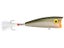Tennessee Shad