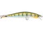 Yellow Perch