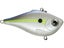 Helsinki Shad