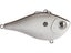 Pearl Grey Shiner