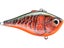 Red Crawdad