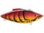 Cali Craw