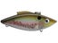 Ghost Minnow