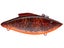 Newberry Craw