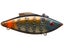 Penny Perch