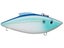 Threadfin Shad