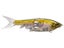 Shimano Gravitator 220 SS Glidebait 