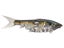 Shimano Gravitator 220 SS Glidebait 