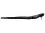 Black Snake