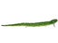 Green Snake
