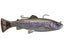 8" Pulstail Trout RTF Trout Slow Sink