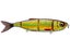 Golden Shiner