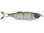 Table Rock Shad