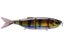 Yellow Perch