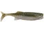 Smallmouth Magic