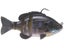 Black Gill