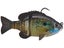 Bream